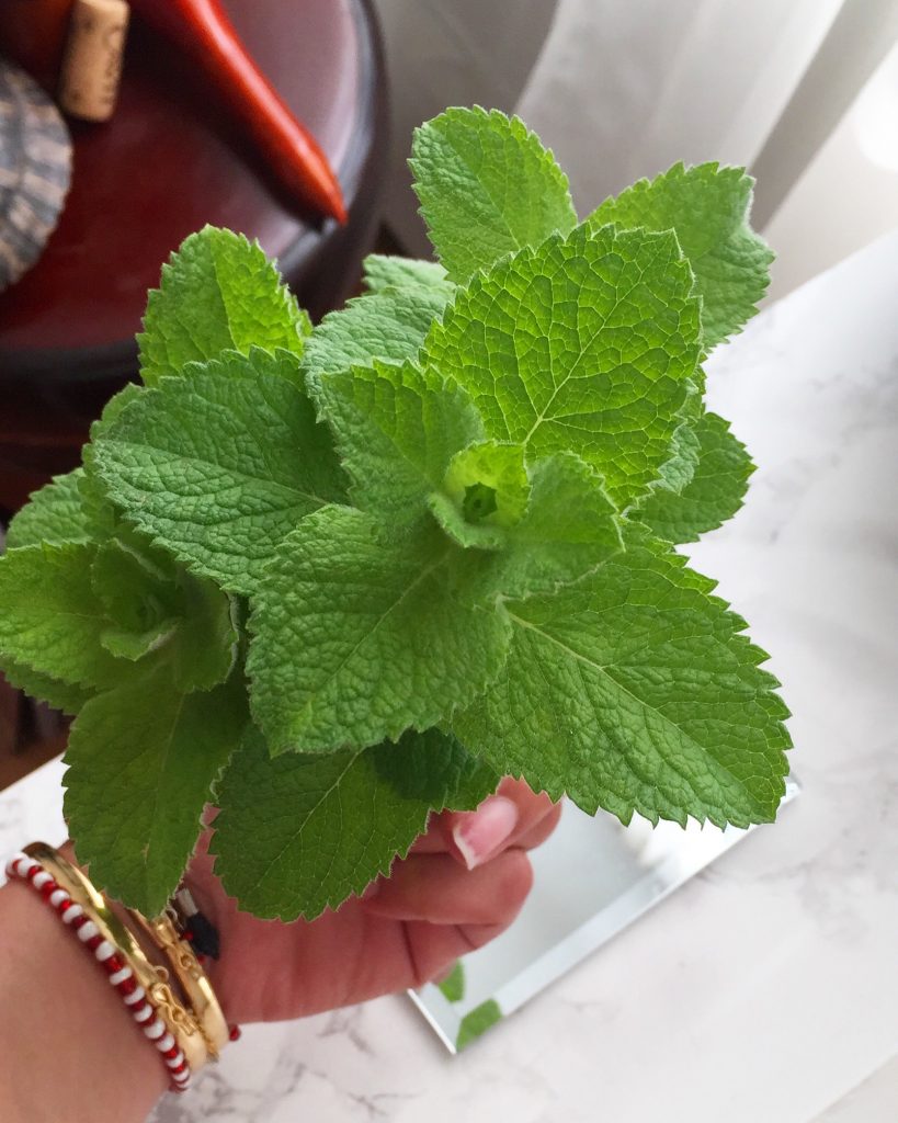 Herb to Know: Mint